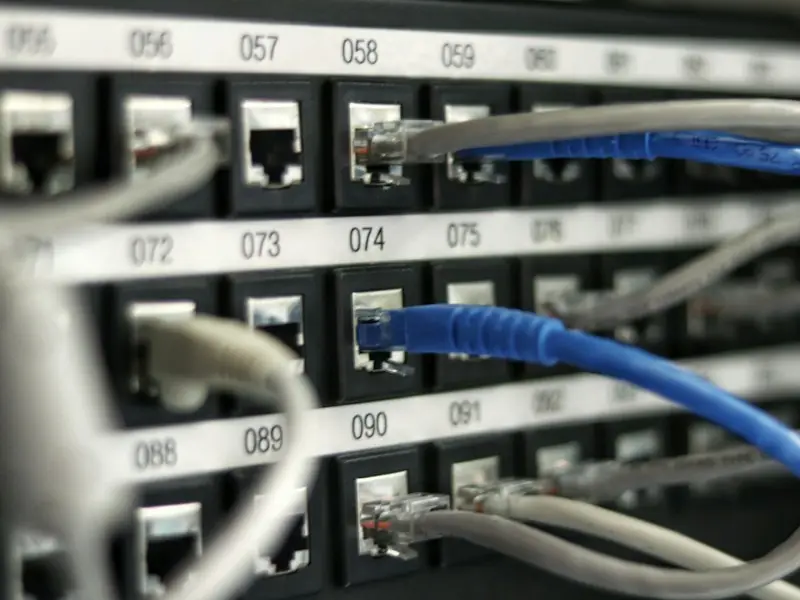 Cables de red conectados a un patch panel